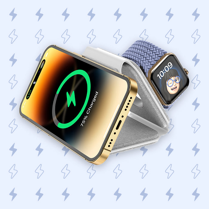Powerbank Charger